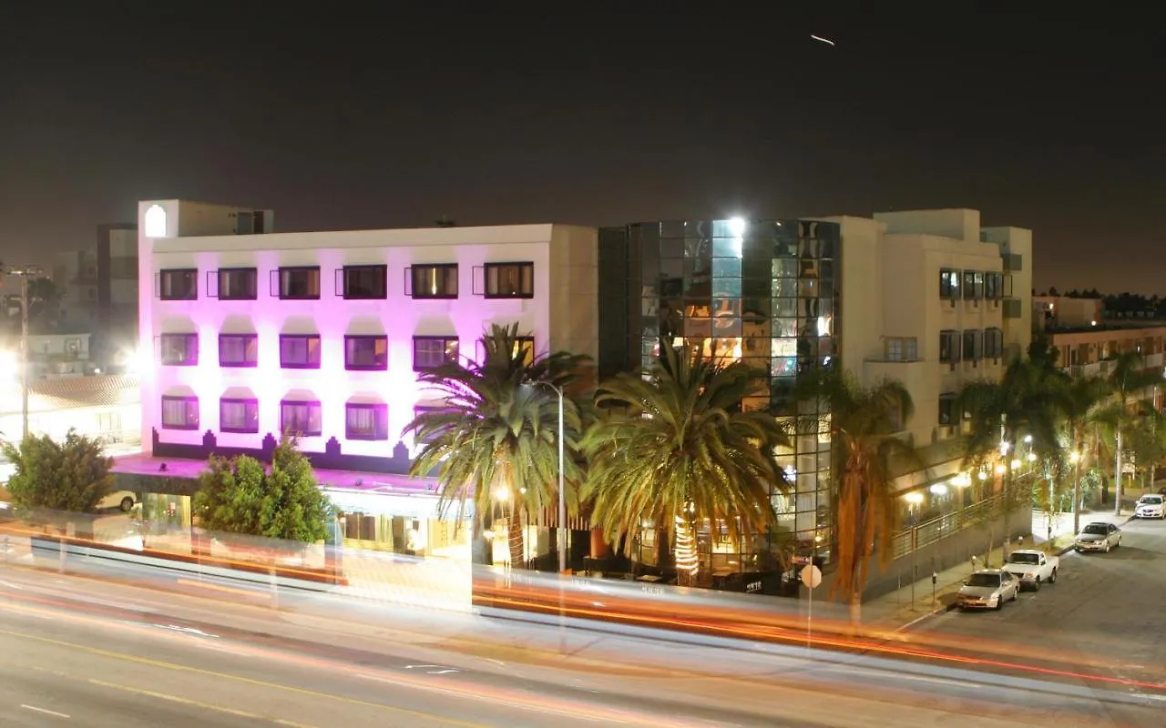 6 Smart Budget Hotels Near Hollywood Walk of Fame Worth Booking